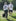 SPONSORED WALKS image