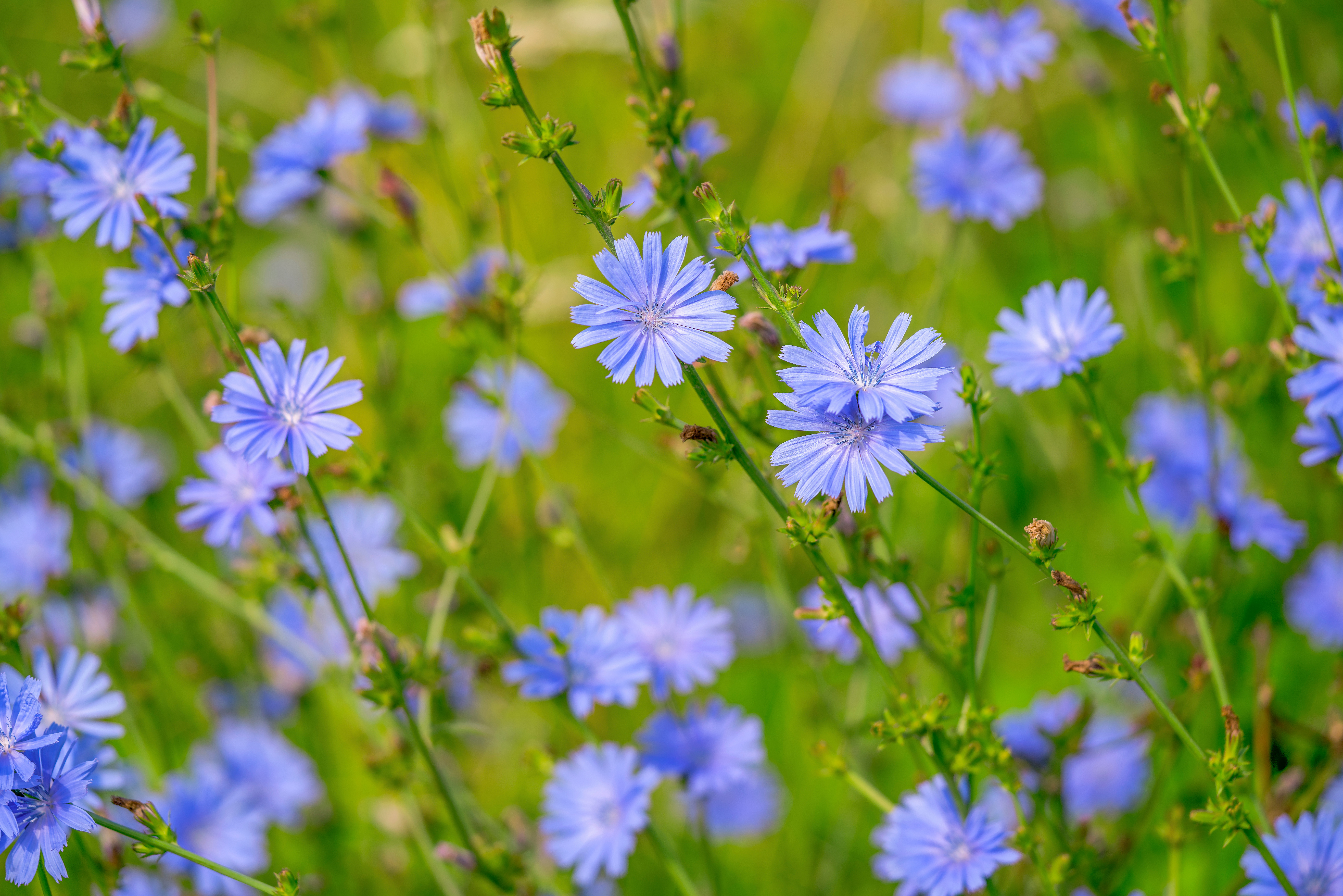 Want to support your skin’s microbiome? image