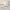 Thumbnail for videowise-widget-6650a46865d6840029d9d065-4732017836077 image
