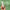 Thumbnail for daily spf 30 moisturiser dermatologically tested image