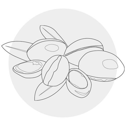 ARGAN