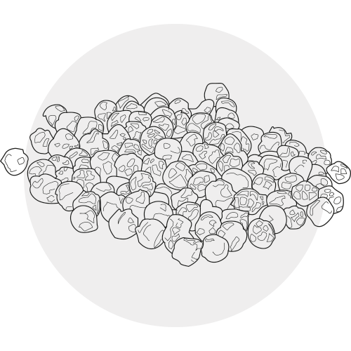 BLACK PEPPER