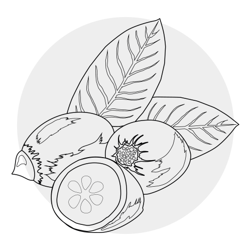 BABASSU