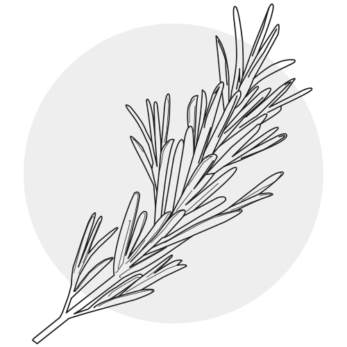 ROSEMARY OIL