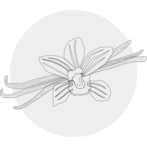 VANILLA